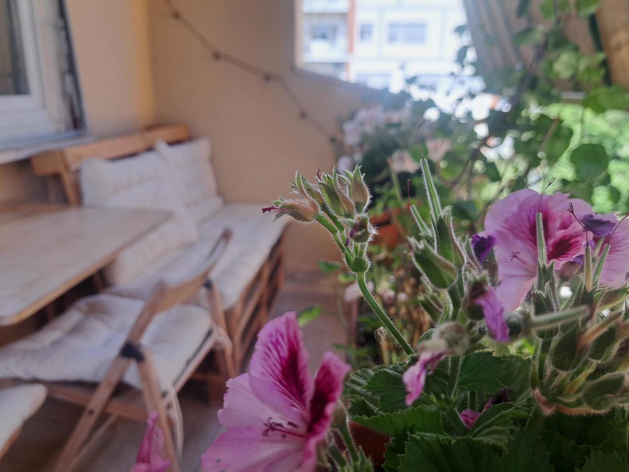 Eco B&B Marela Rome Exterior photo